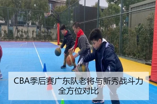CBA季后赛广东队老将与新秀战斗力全方位对比